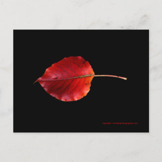 MP 0215B Leaf 2 WC Post Card