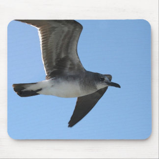 MP 6482 Gull 1 WC Mouse Mat