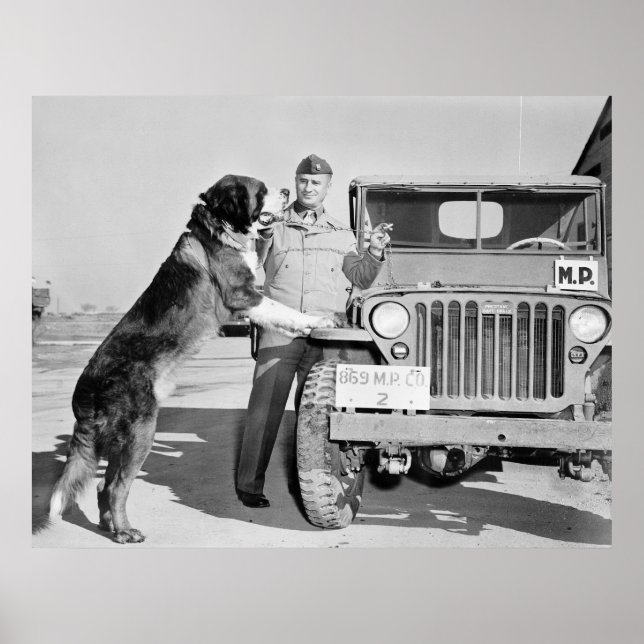 MP Mascot: 1942 Poster (Front)