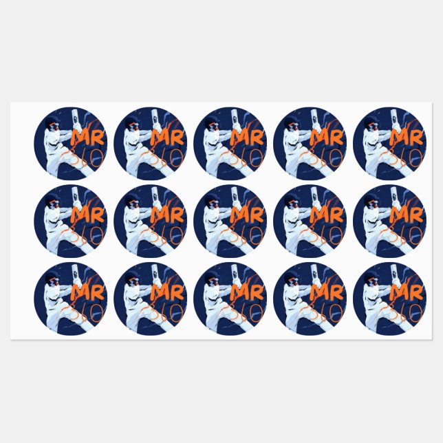 Mr 360 stickers  (Sheet)