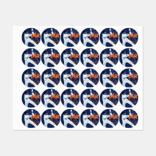 Mr 365 Cricket Stickers