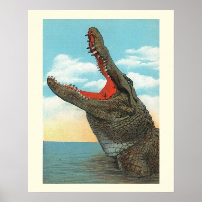 Mr. Alligator Poster (Front)