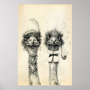 Mr. and Mrs. Ostrich Poster