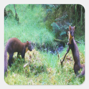 Mr and Mrs Pine Marten Woodland Wildlife Heart Square Sticker