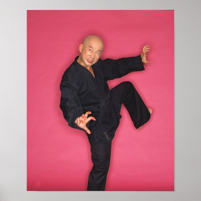 Mr. Banzai Poster (Front)