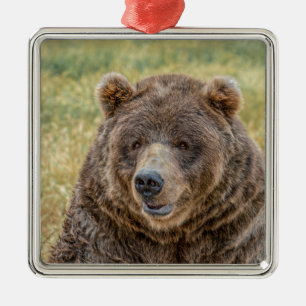 Mr. Bear Metal Tree Decoration