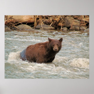 Mr. Bear Poster