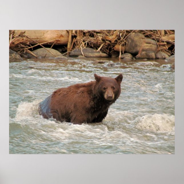Mr. Bear Poster (Front)