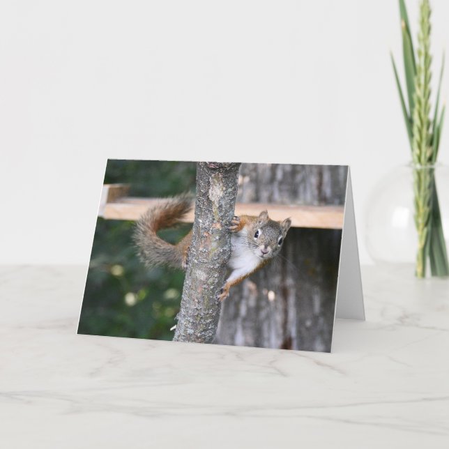 Mr. Bickles greeting card (Front)