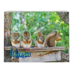 Mr. Bickles The Squirrel large wall calendar