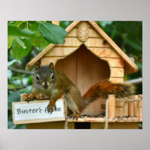 Mr. Bickles The Squirrel poster