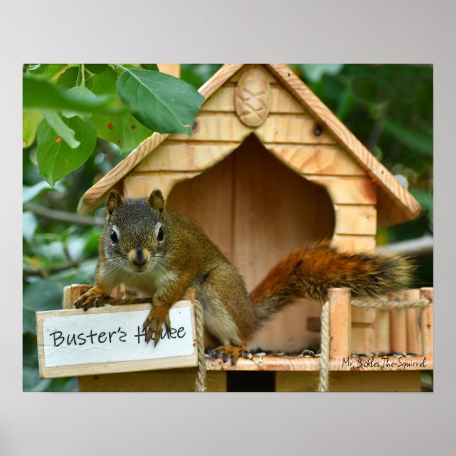 Mr. Bickles The Squirrel poster (Front)