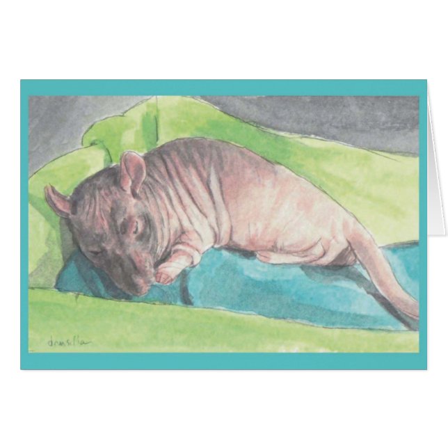 Mr. Bigglesworth (Front Horizontal)