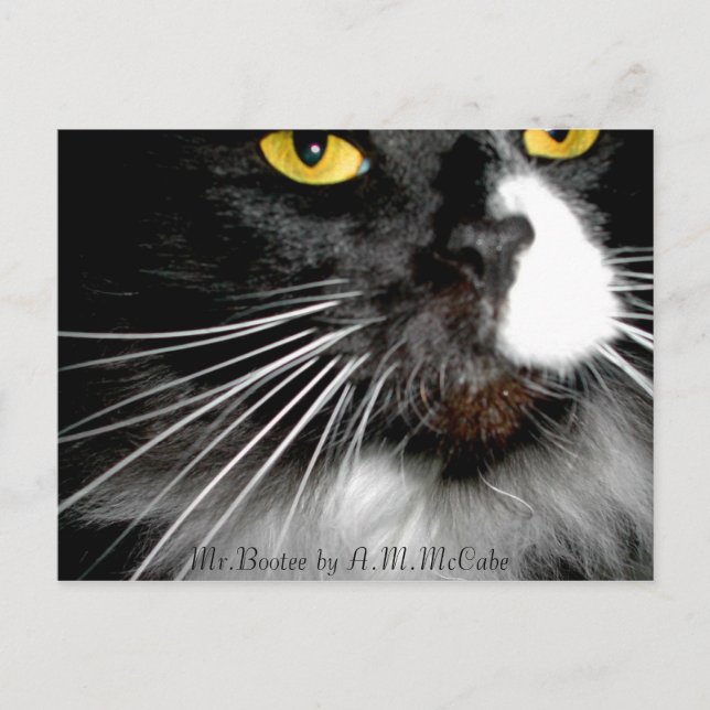 "Mr.Bootee" Postcard (Front)