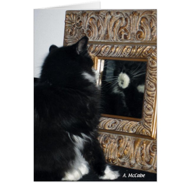 Mr. Bootee, thru the Looking Glass (Front)