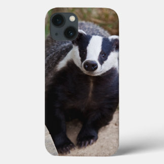 Mr Brock iPad Case