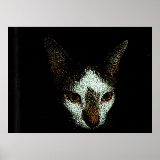 Mr. Bud in Repose Poster (Front)