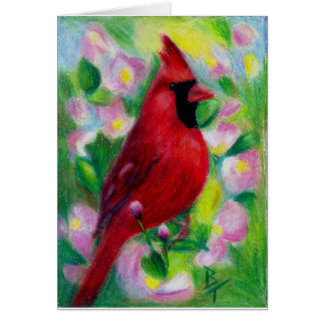 Mr. Cardinal Blank Card