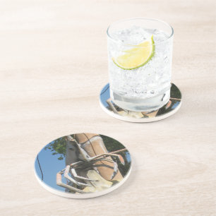 Mr Crustacean AKA Lobster Head ... Buddhist Hell Coaster