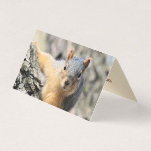 Mr.Cutie Business Card