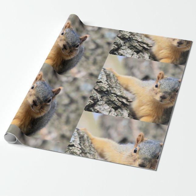 Mr.Cutie Wrapping Paper (Unrolled)