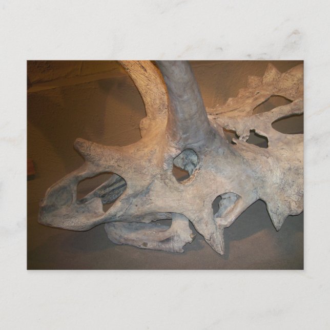 Mr.dino #2 postcard (Front)