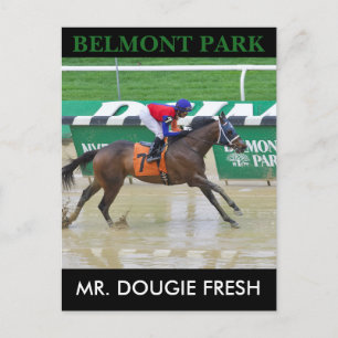 Mr. Dougie Fresh Postcard