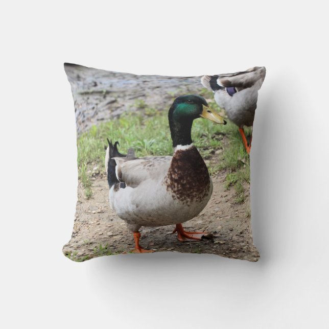 Mr. Duck Cushion (Front)