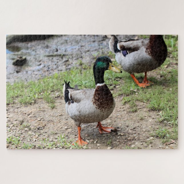 Mr. Duck Jigsaw Puzzle (Horizontal)
