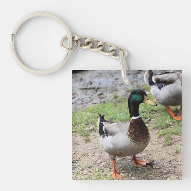 Mr. Duck Key Ring (Front)