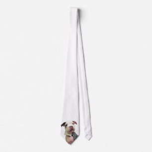 Mr Fig Newton Tie