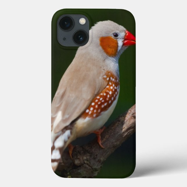 Mr Finch iPad Case (Back)