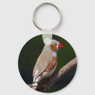 Mr Finch Keyring