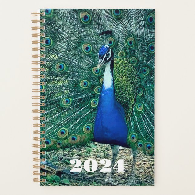 Mr. Flowers 2024 Planner (Front)