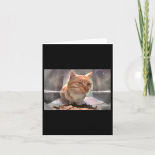 Mr Fresh Cat Meme Side Eye Cat  Card