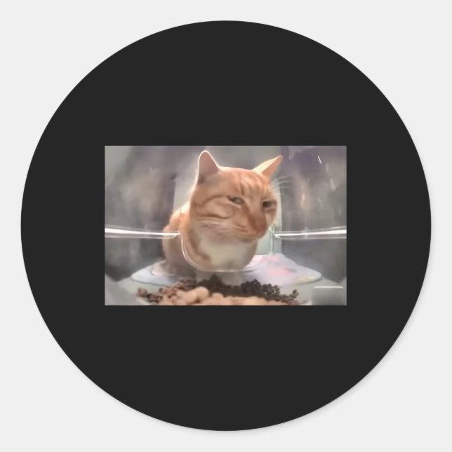 Mr Fresh Cat Meme Side Eye Cat  Classic Round Sticker (Front)