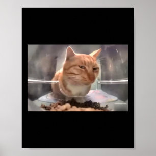 Mr Fresh Cat Meme Side Eye Cat  Poster