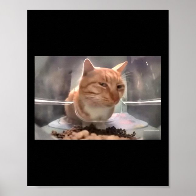 Mr Fresh Cat Meme Side Eye Cat  Poster (Front)