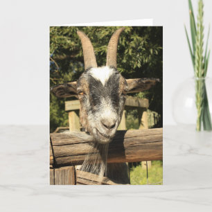 Mr. Goat Card