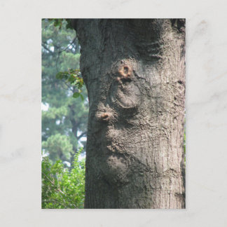 Mr Gruf Postcard