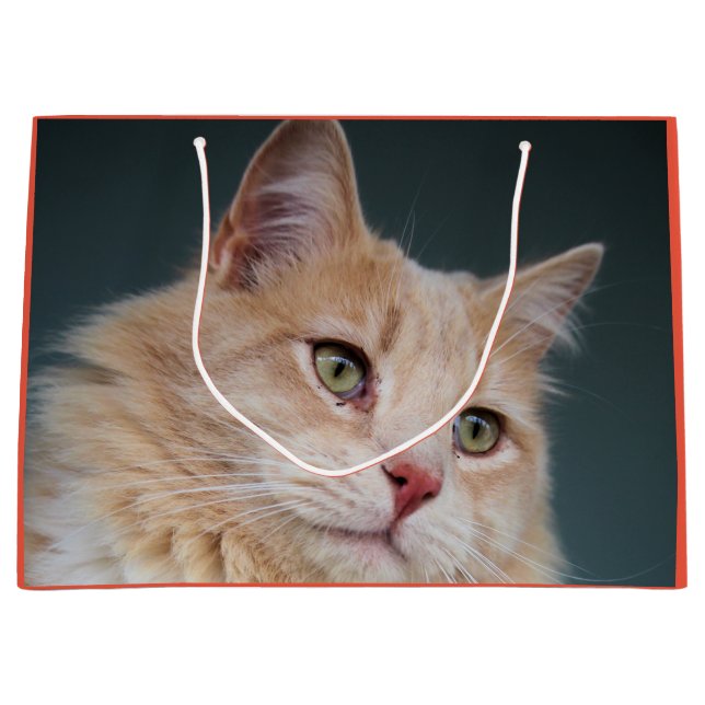 Mr.Handsome Large Gift Bag (Front)