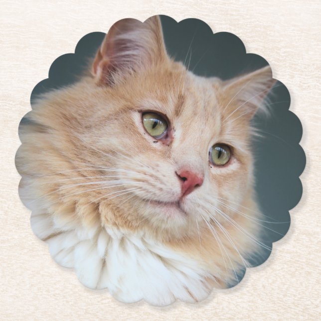 Mr. Handsome Paper Coaster (Front)