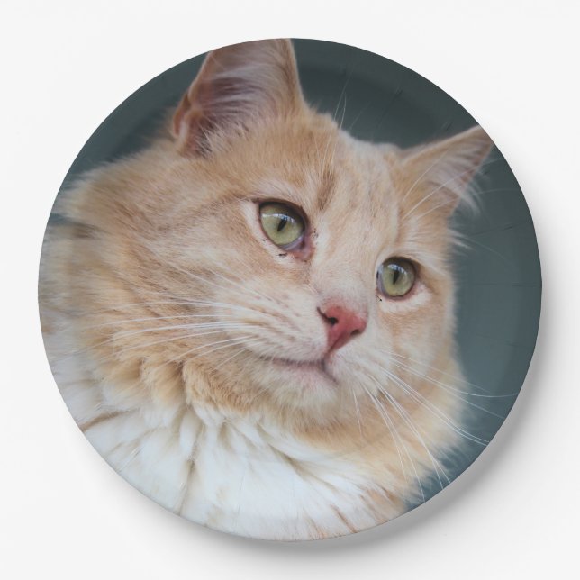 Mr. Handsome Paper Plate (Front)