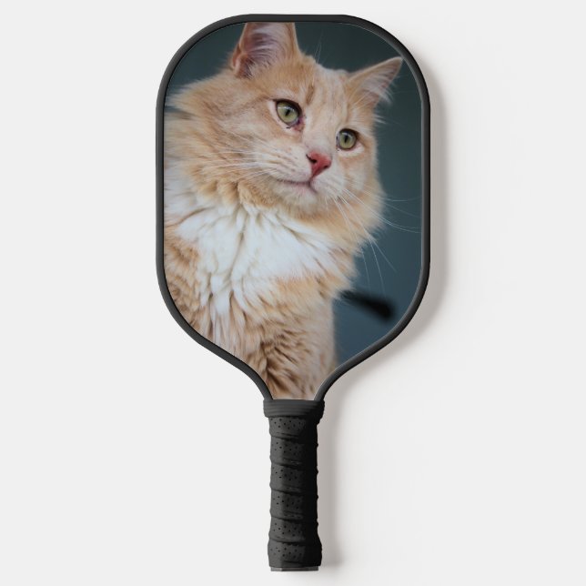Mr. Handsome Pickleball Paddle (Front)