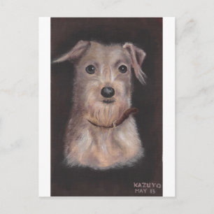 Mr.J-lo Postcard