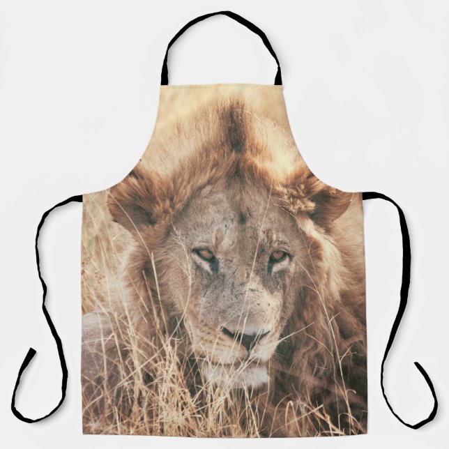 MR LION KING APRON (Front)