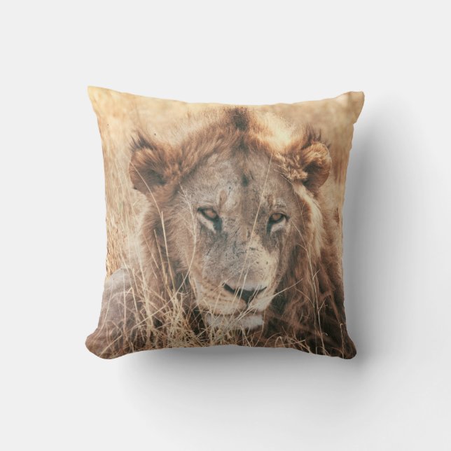 MR LION KING CUSHION (Front)