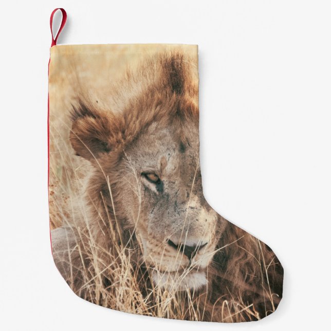 MR LION KING SMALL CHRISTMAS STOCKING (Front)
