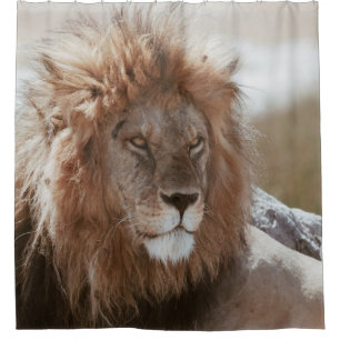 MR LION SHOWER CURTAIN