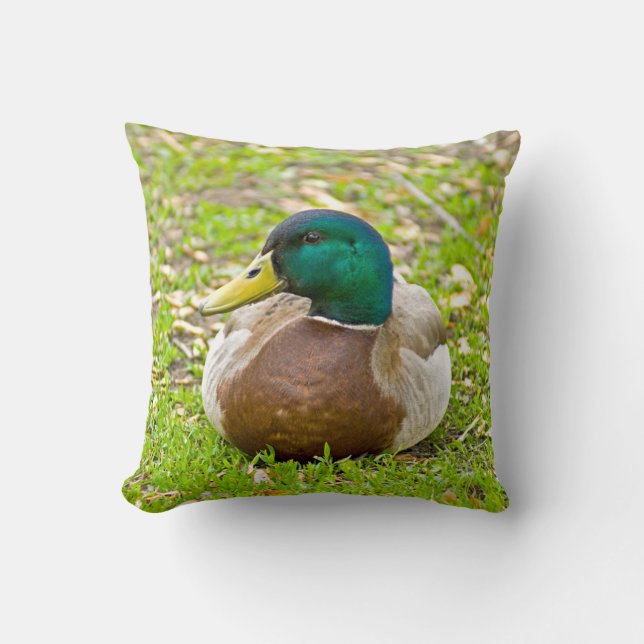 Mr. Mallard the Duck Cushion (Front)